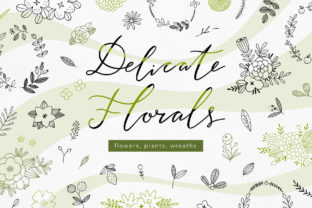 Download Delicate Florals Collection - Floral Collection