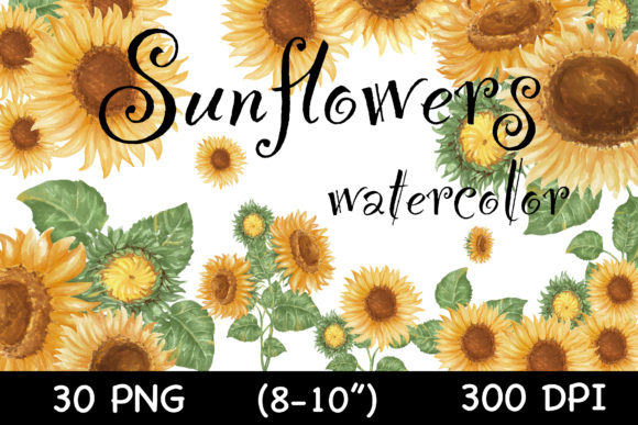 Download Watercolor Sunflowers, Vintage(clip Art) - Premium Resources